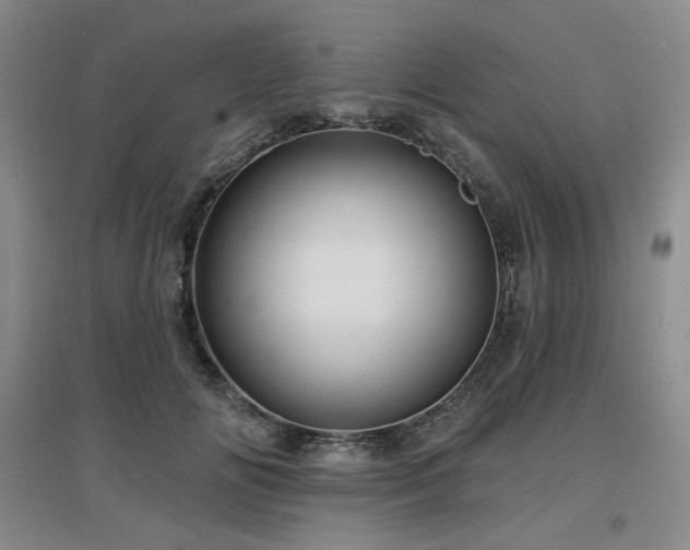 X0000097650702200802291450