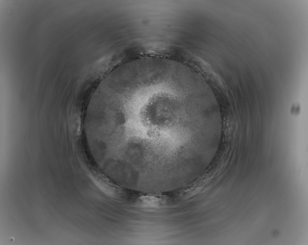 X0000097650703200802291450