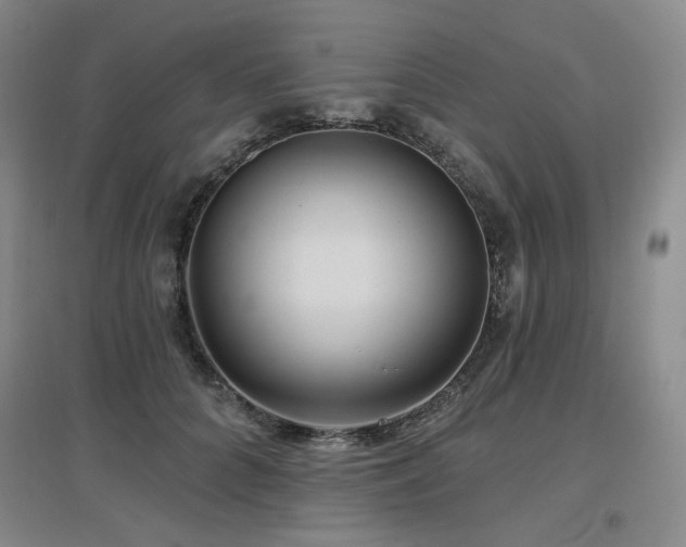 X0000097650704200802291450