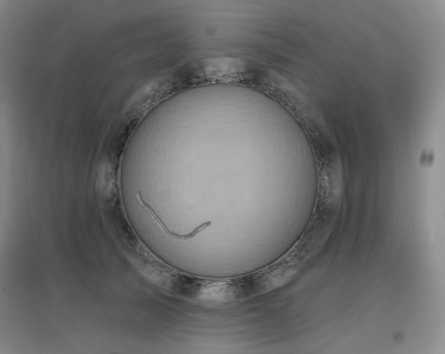 X0000097650705200802291450