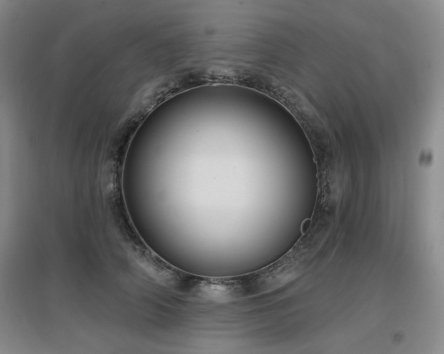 X0000097650706200802291450