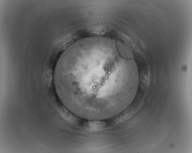 X0000097650707200802291450