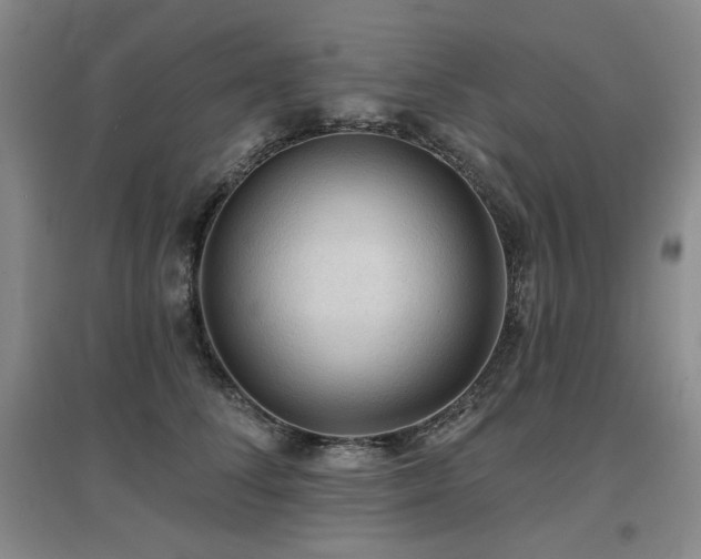 X0000097650708200802291450