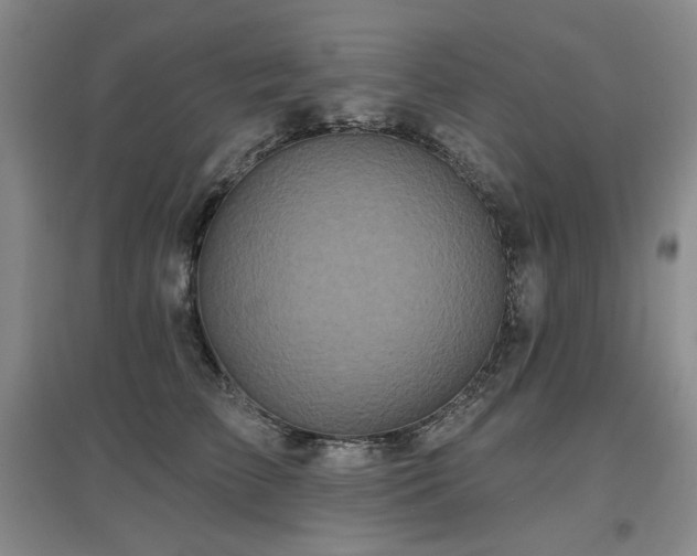 X0000097650709200802291450