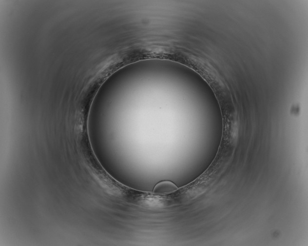 X0000097650710200802291450