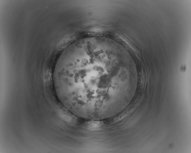 X0000097650711200802291450