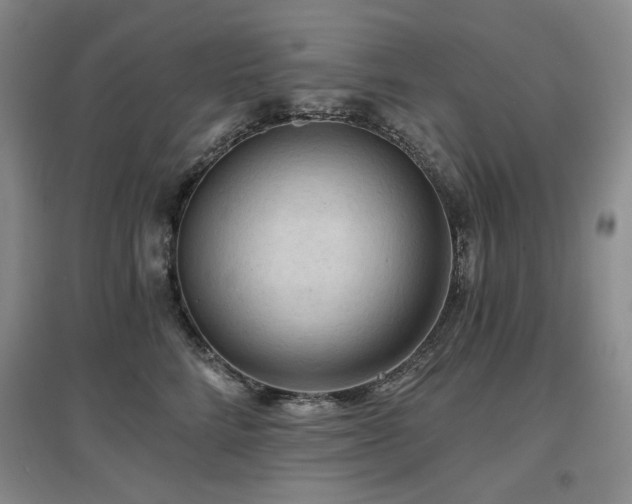 X0000097650712200802291450