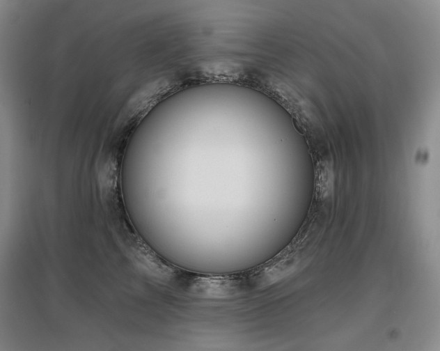 X0000097650713200802291450