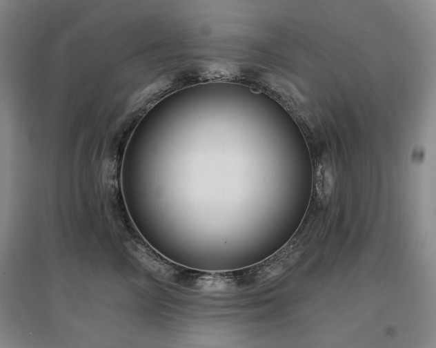 X0000097650714200802291450