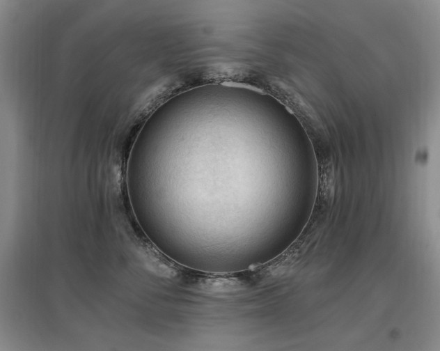 X0000097650716200802291450