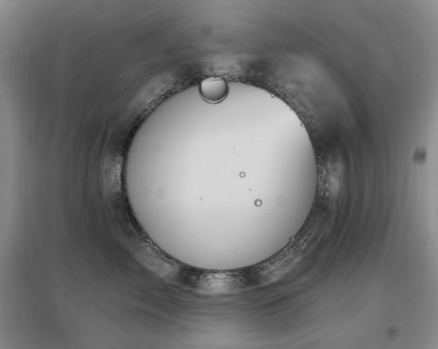 X0000097650717200802291450