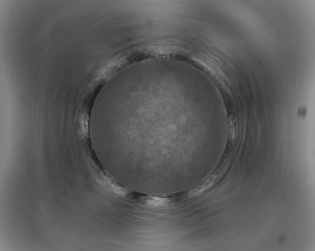 X0000097650718200802291450