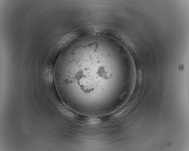 X0000097650719200802291450