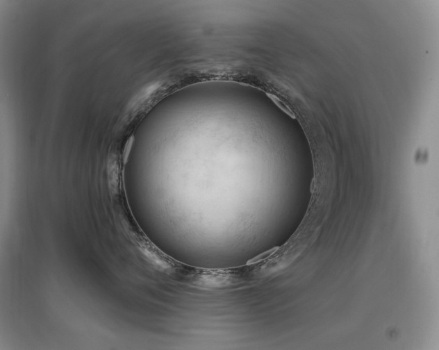 X0000097650720200802291450