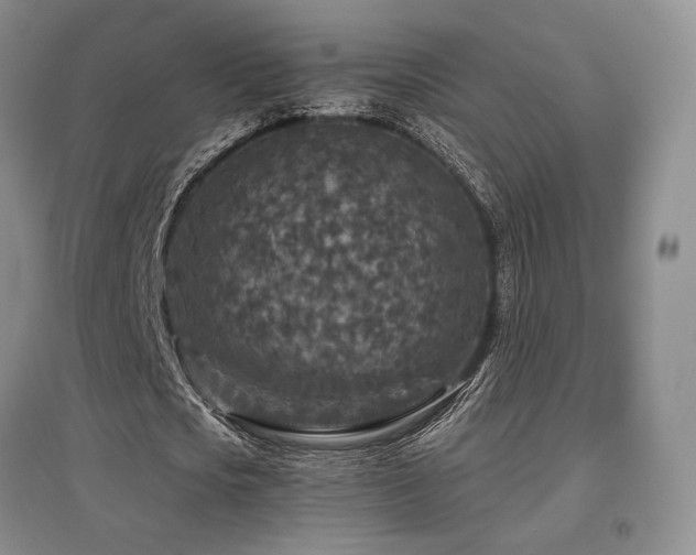 X0000097650721200802291449