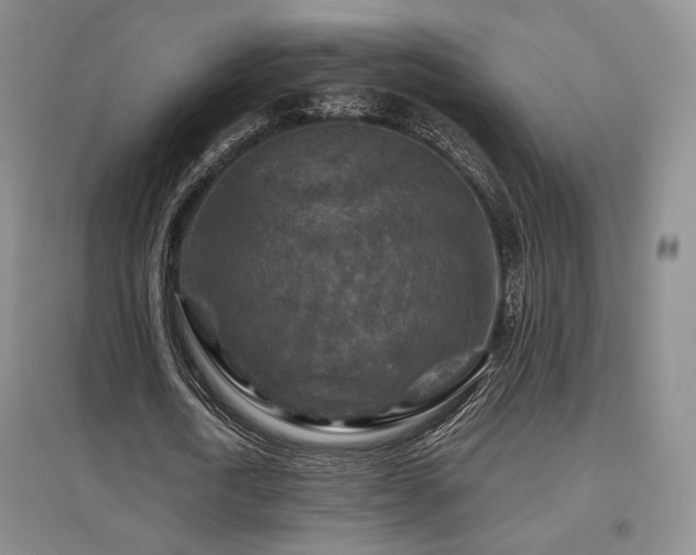 X0000097650722200802291449