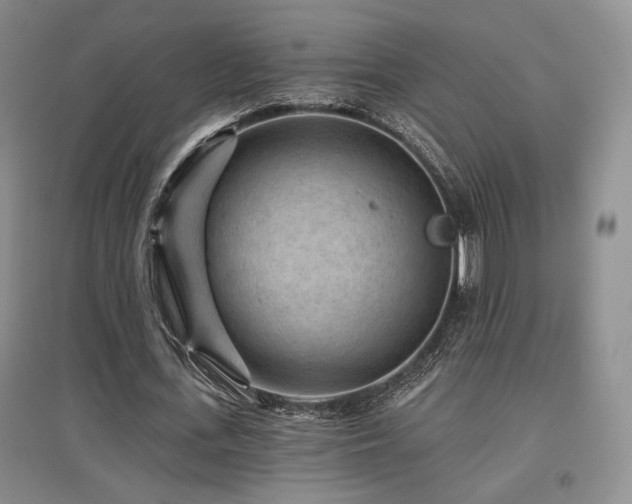 X0000097650723200802291449