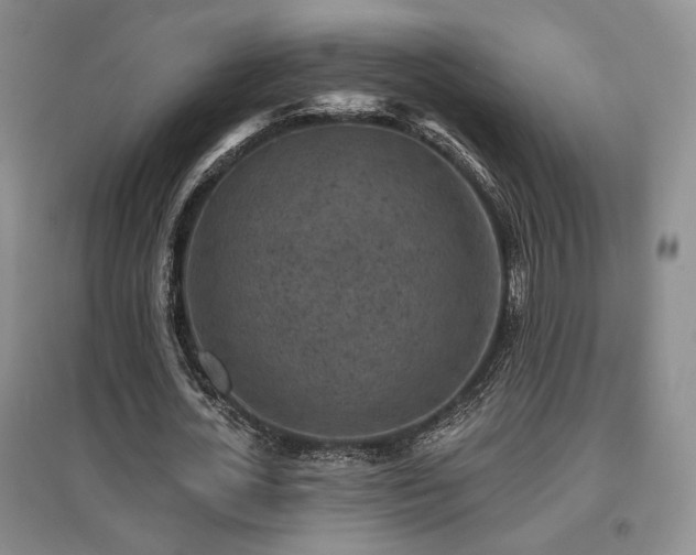 X0000097650724200802291449