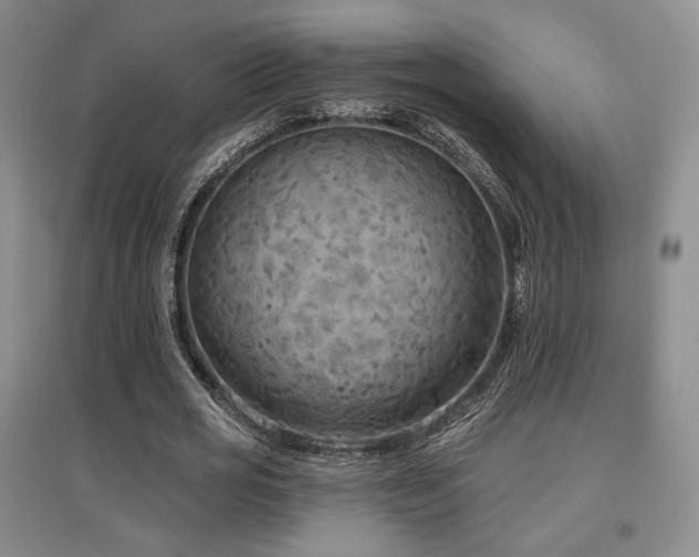 X0000097650725200802291449