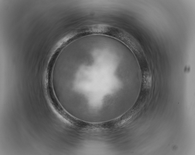 X0000097650726200802291449