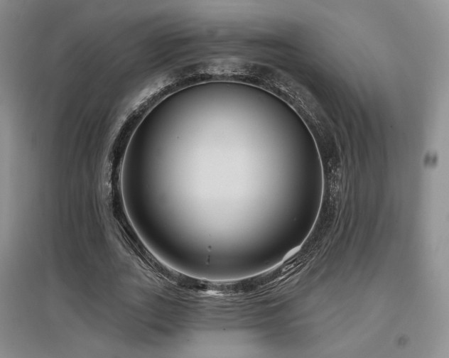 X0000097650727200802291449