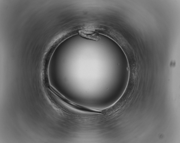 X0000097650728200802291449