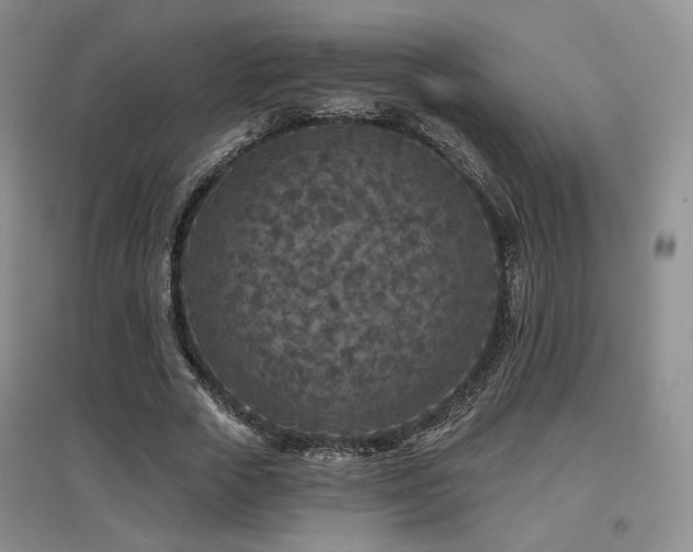 X0000097650729200802291449