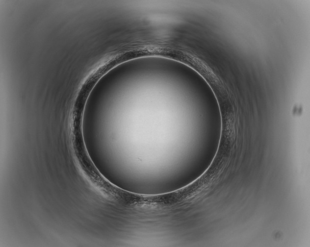 X0000097650730200802291449