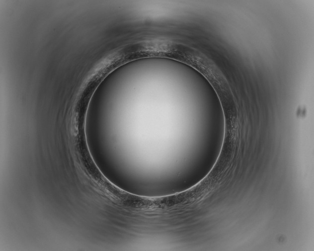 X0000097650731200802291449