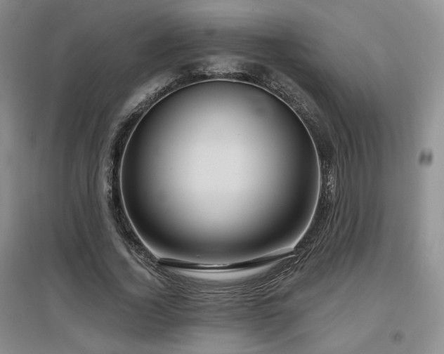 X0000097650732200802291449