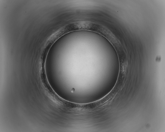 X0000097650733200802291449