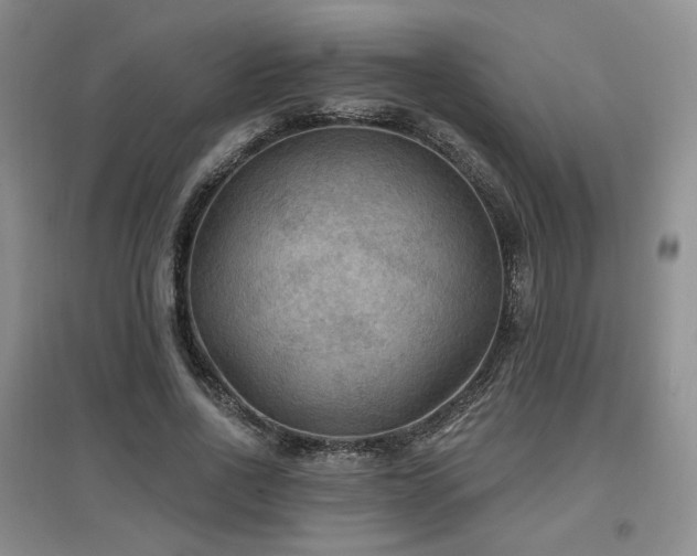 X0000097650734200802291449