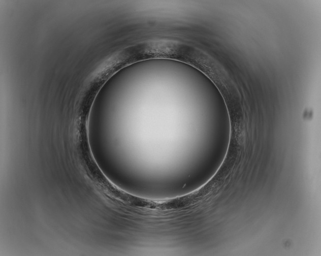 X0000097650735200802291449