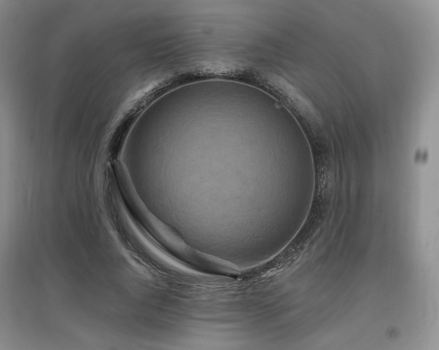 X0000097650736200802291449