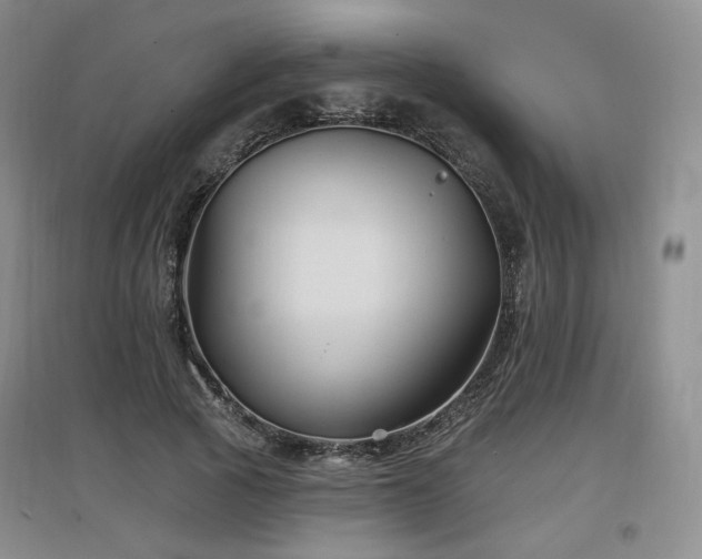 X0000097650737200802291449