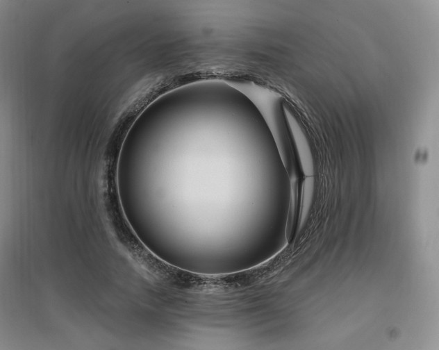 X0000097650738200802291450