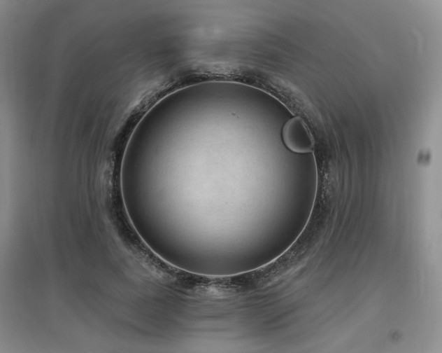 X0000097650739200802291450