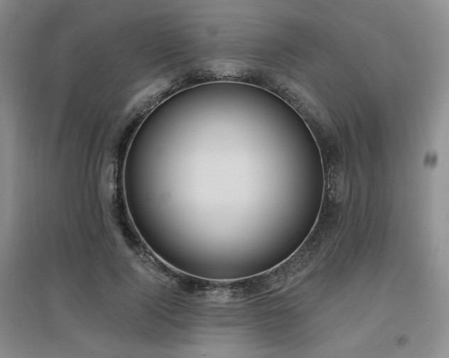 X0000097650740200802291450