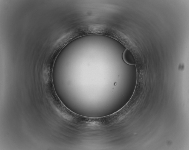 X0000097650741200802291450