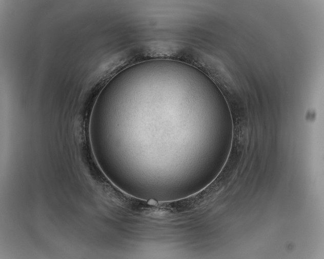 X0000097650743200802291450