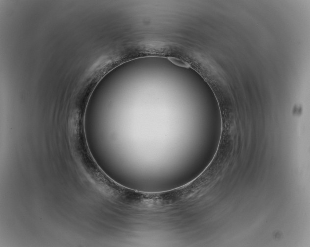 X0000097650744200802291450