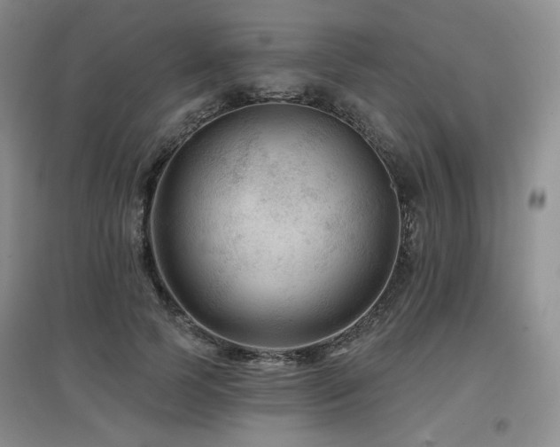 X0000097650745200802291450