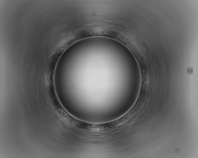 X0000097650746200802291450