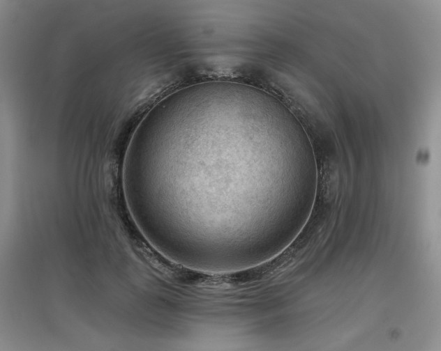 X0000097650747200802291450