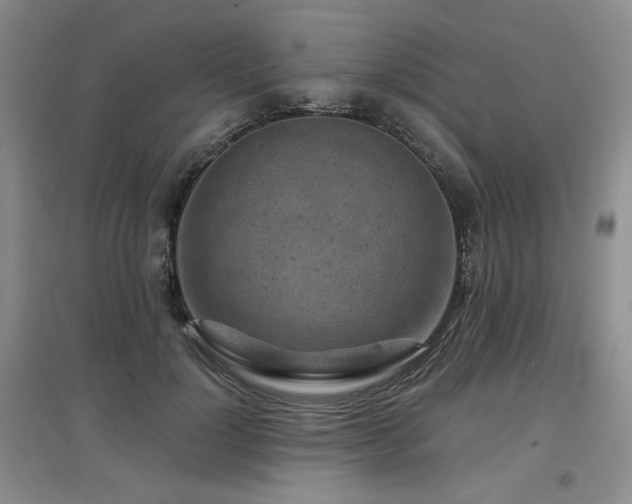 X0000097650748200802291450