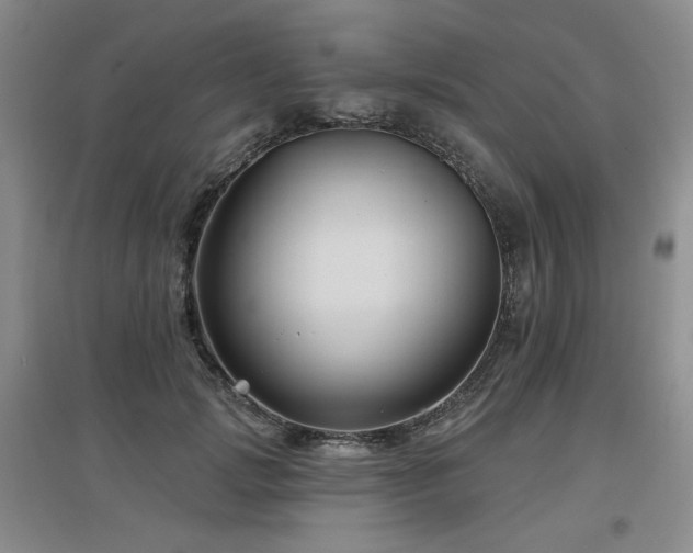 X0000097650749200802291450