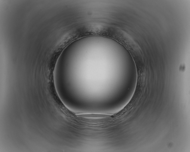 X0000097650750200802291450