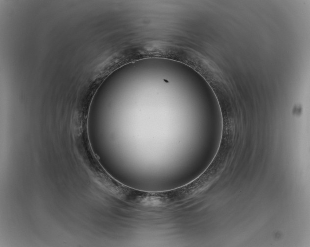 X0000097650751200802291450