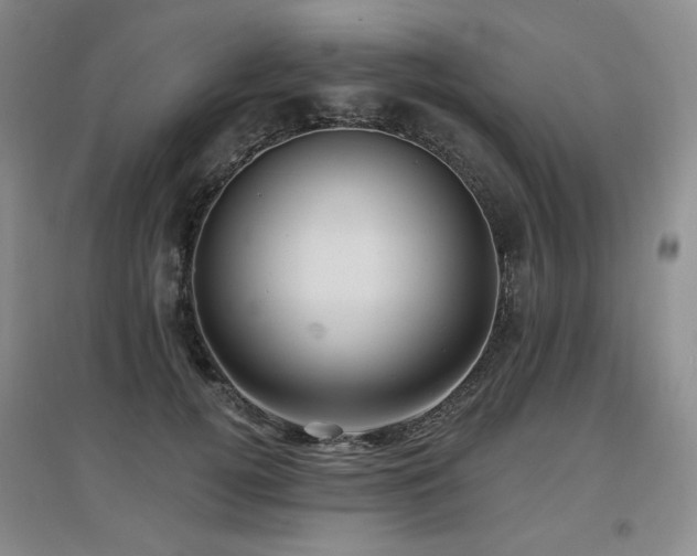 X0000097650752200802291450