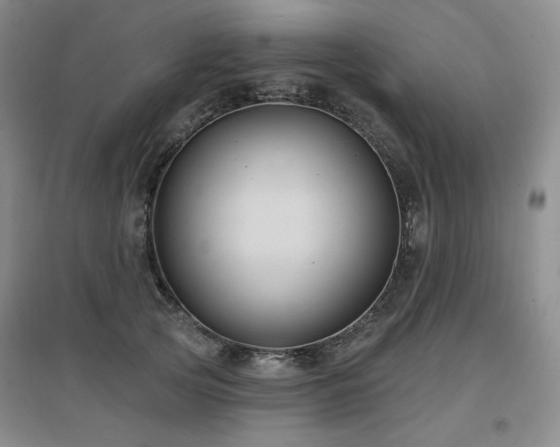 X0000097650753200802291450